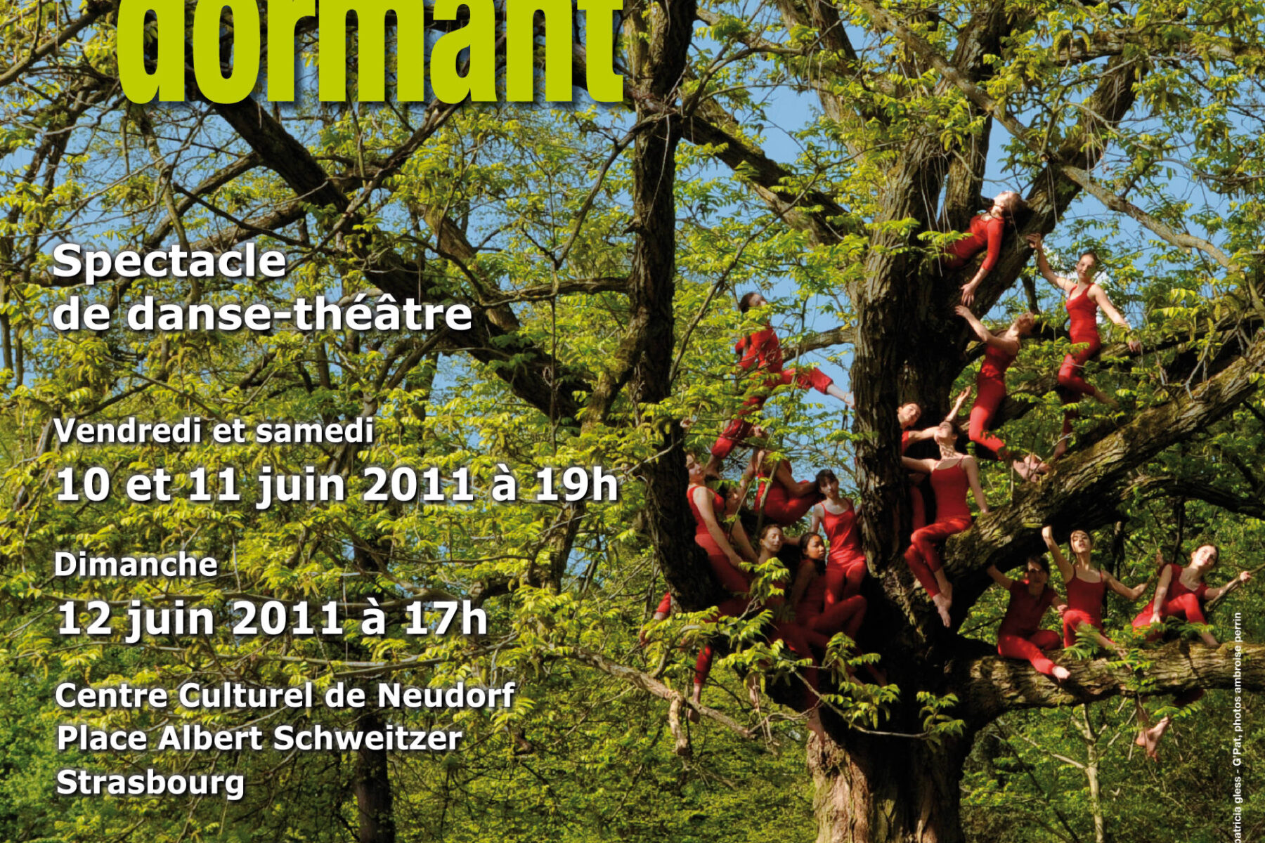 L'arbre hautbois dormant- spectacle danse-théâtre - Irena Tatiboit - Artiste peintre, chorégraphe et éditrice à Strasbourg